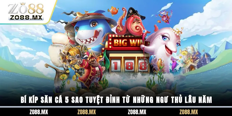 Bí kíp săn cá 5 sao tuyệt đỉnh từ những ngư thủ lâu năm