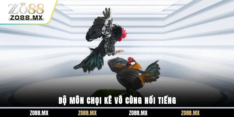 Đá gà cựa sắt là gì?