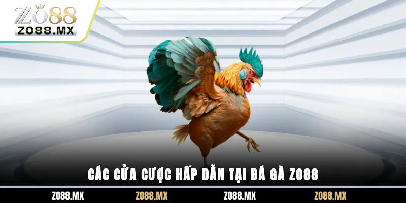 Các cửa cược hấp dẫn tại đá gà ZO88