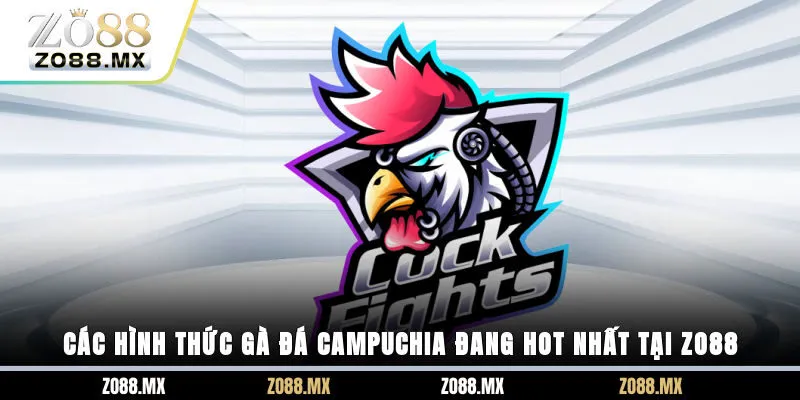 Các hình thức gà đá Campuchia đang hot nhất tại ZO88