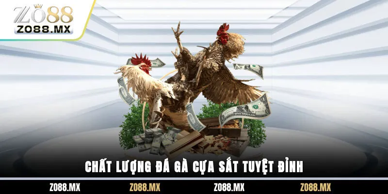 Chất lượng đá gà cựa sắt tuyệt đỉnh