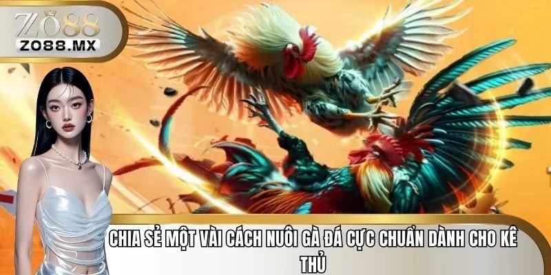 cách nuôi gà đá