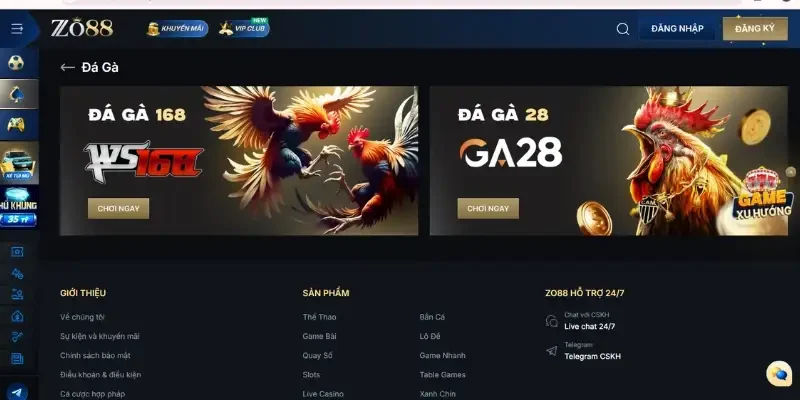 Dịch vụ cá cược đá gà đẳng cấp của Zo88