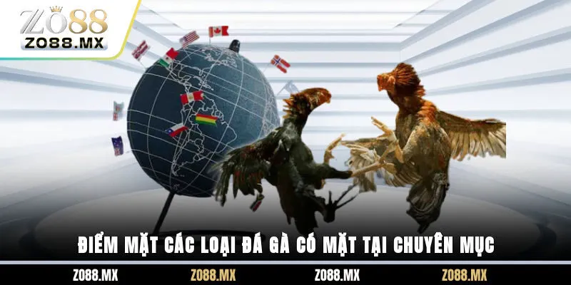 Điểm mặt các loại đá gà có mặt tại chuyên mục