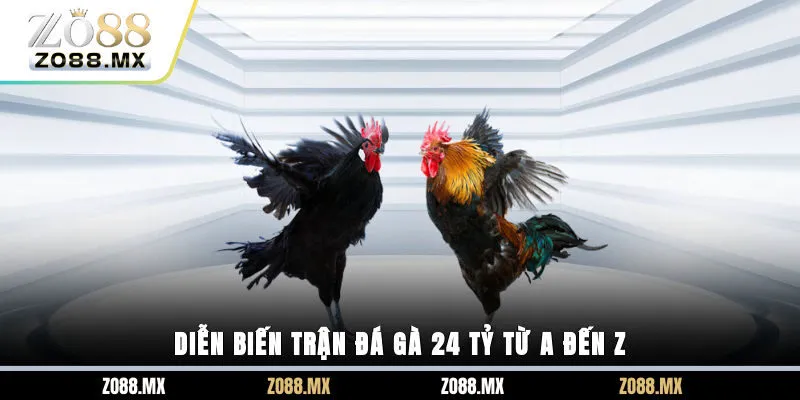 Diễn biến trận đá gà 24 tỷ từ A đến Z