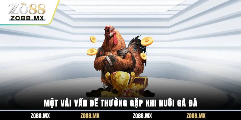 Một vài vấn đề thường gặp khi nuôi gà đá