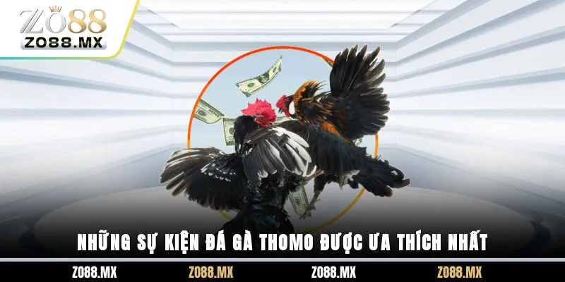 Những sự kiện đá gà Thomo được ưa thích nhất