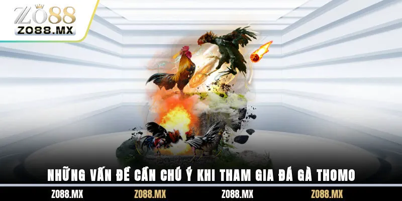 Những vấn đề cần chú ý khi tham gia đá gà Thomo
