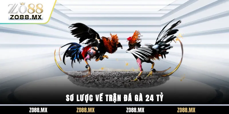 Sơ lược về trận đá gà 24 tỷ